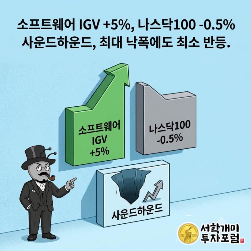 소프트웨어 ETF인 IGV는 5% 올랐지만 QQQ는 0.5% 내렸다