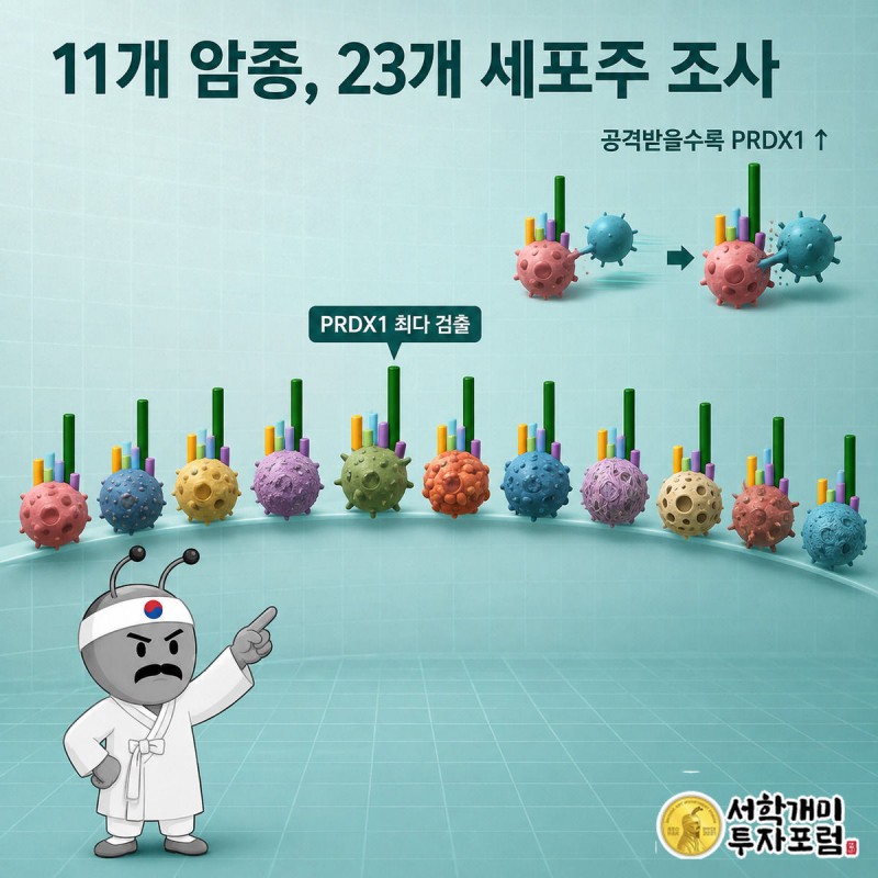 11개 암종 세포 아이콘 위에 세운 항산화 단백질 막대그래프에서 PRDX1 막대만 유독 높게 솟은 것을 부자개미가 가리키는 삽화