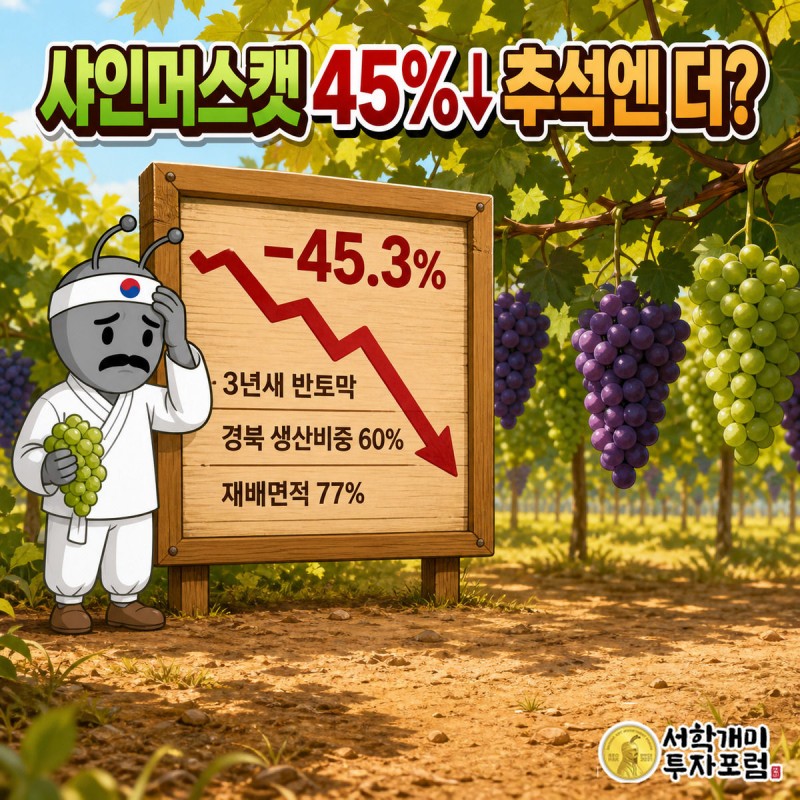 늦여름 포도밭에서 급락 그래프를 보며 낙담하는 개미 캐릭터, 샤인머스캣 3년 하락률 45.3%를 보여주는 커버 이미지
